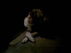 Iphone Facebook Spy App